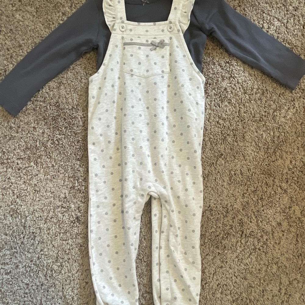 3T toddler girls bundle (long sleeve)    |  4 pieces total - Picture 10 of 13